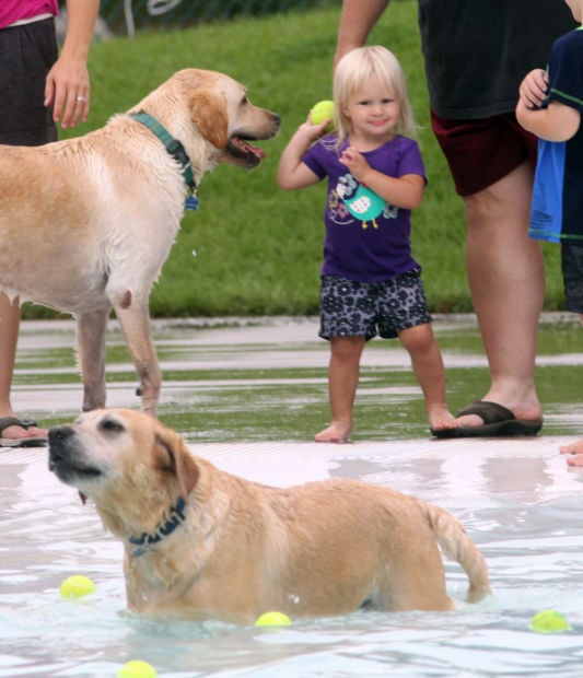 2014 Diggity Dog Dip